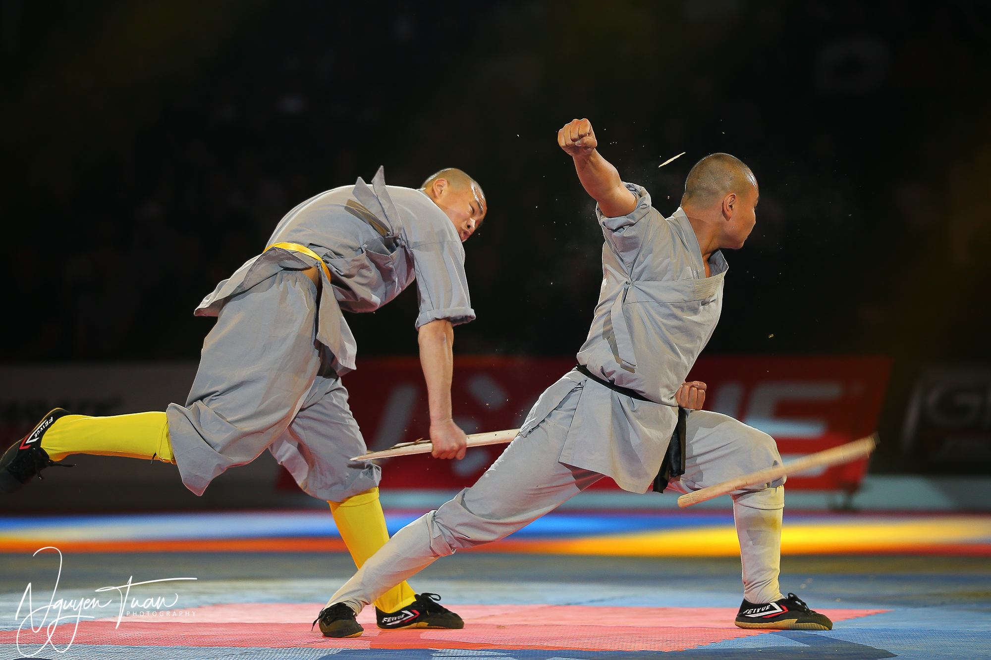 20190324 Festival des Arts Martiaux 5640